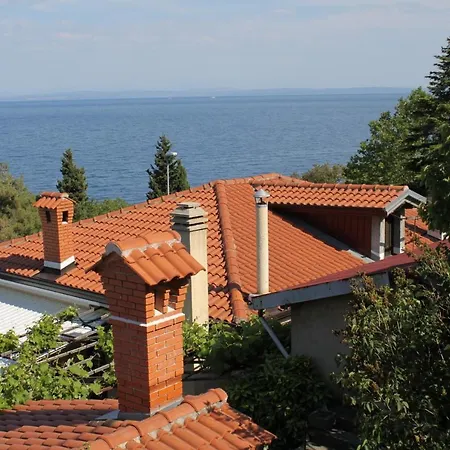 Double Medveja 7775b