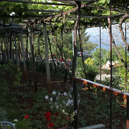 Guest house Double Medveja 7775b 3*