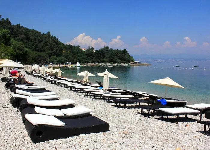 Double Medveja 7775b 3*