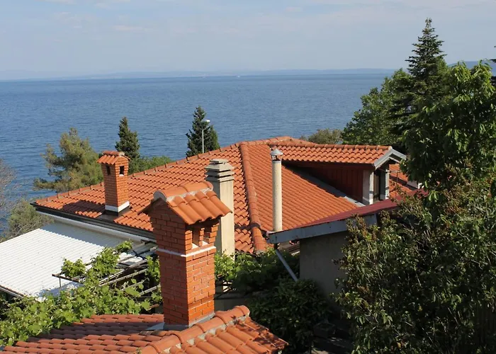 Double Medveja 7775b