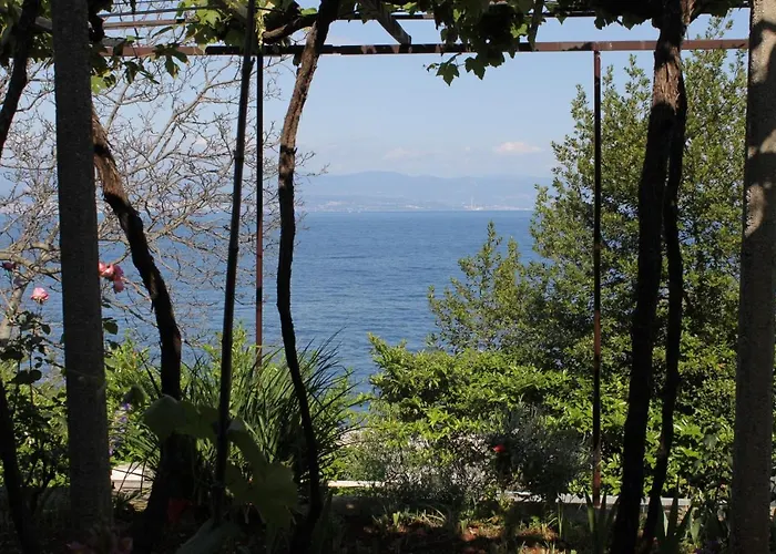 Double Medveja 7775b 3*